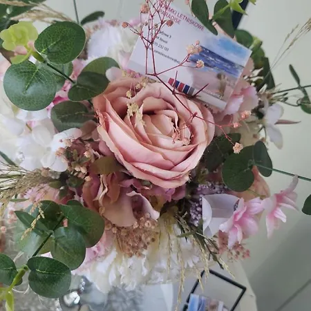 Letniskowe Paradise 里沃