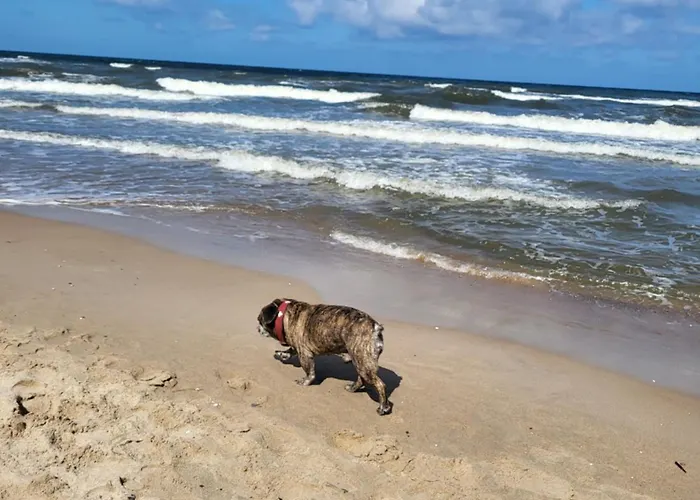 Letniskowe Paradise *